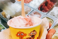 Tulum Icecream