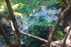 Tulum Cenote Cristalino